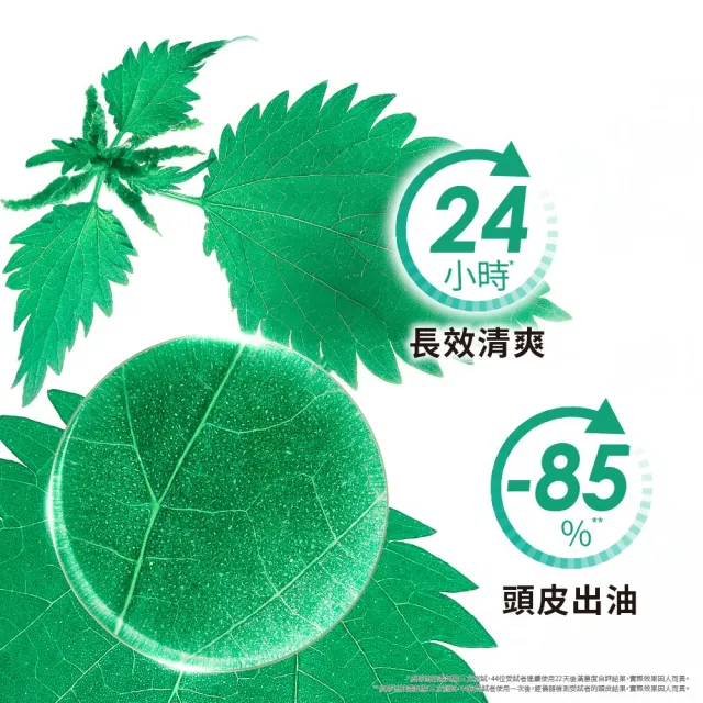 【KLORANE 蔻蘿蘭】官方直營 乾洗髮噴霧 50ml(根源控油)