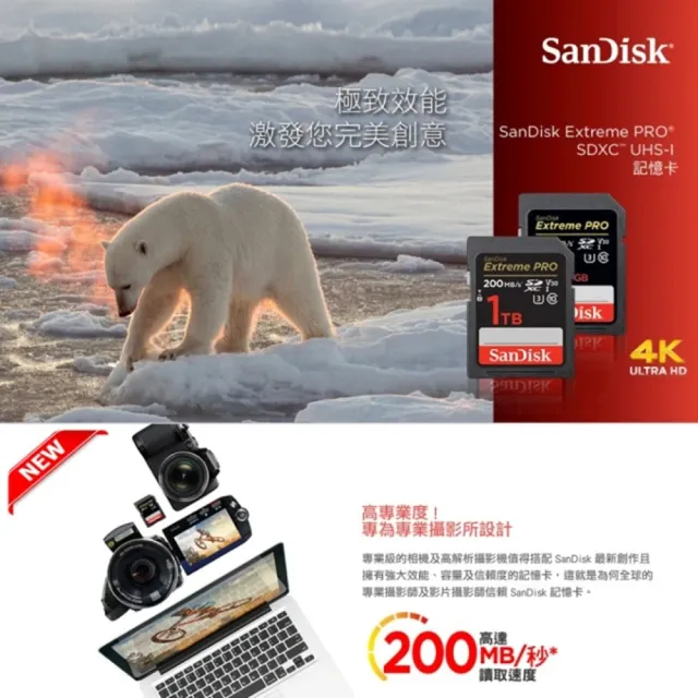 【SanDisk 晟碟】[全新版 再升級] 128GB Extreme PRO SDXC V30  記憶卡 200MB/s(原廠有限 永久保固)