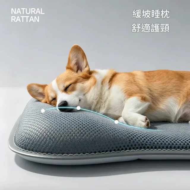 【IPSKY】寵物風扇窩 自動感應風扇床  離席自停三檔風控低噪 貓咪涼墊 狗狗冷氣床 製冷睡墊7公斤以內