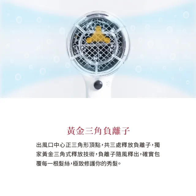 【TESCOM】官方直營 防靜電負離子大風量渦流吹風機 珍珠白 TID2200TW