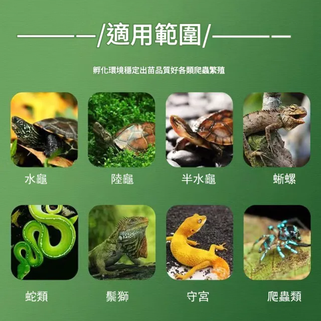 【RTAKO】寵物孵化箱 爬寵孵化機 恆溫孵化櫃 46L 智能孵化器 恆溫櫃 觸控調節 櫃腳可調 恆溫箱 孵蛋器