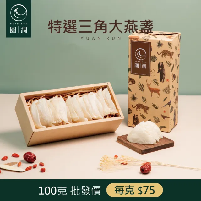 【圓潤燕窩】特選三角大燕盞 100g(燕窩、燕盞、乾燕窩、燕窩禮盒、燕窩酸、中秋、伴手禮、長輩)