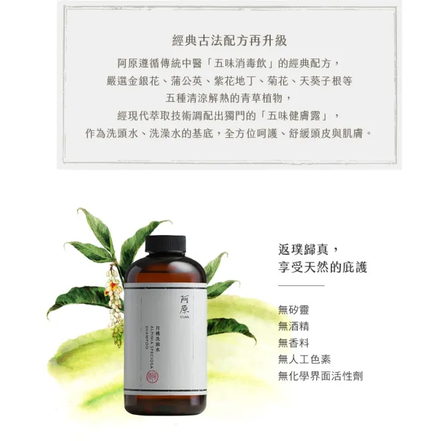 【阿原】月桃洗頭水500mL*2(洗髮精)(清潔同時保養)