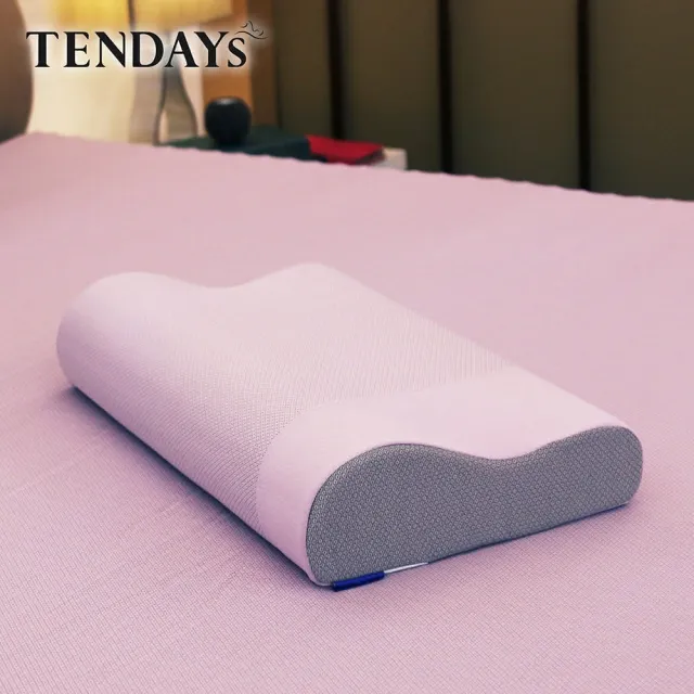 【TENDAYS】玩色柔眠記憶枕(薰衣紫 8/10cm任選)