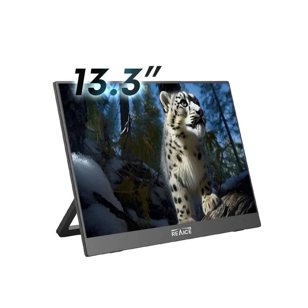 【REAICE】13.3型2.5K升級版IPS超薄可攜式外接螢幕(Switch外接螢幕/Type-C/可攜式螢幕/攜帶式電腦螢幕)