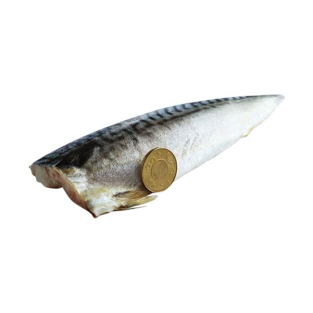【優鮮配】3L挪威薄鹽鯖魚 210g X20片｜特大規格 /單片真空 /囤貨量販組