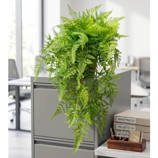 【HUGO DECO 榆果傢飾】翠綠蕨草藤蔓植栽(擬真植栽/垂墜植栽/藤蔓/居家佈置/節慶送禮)