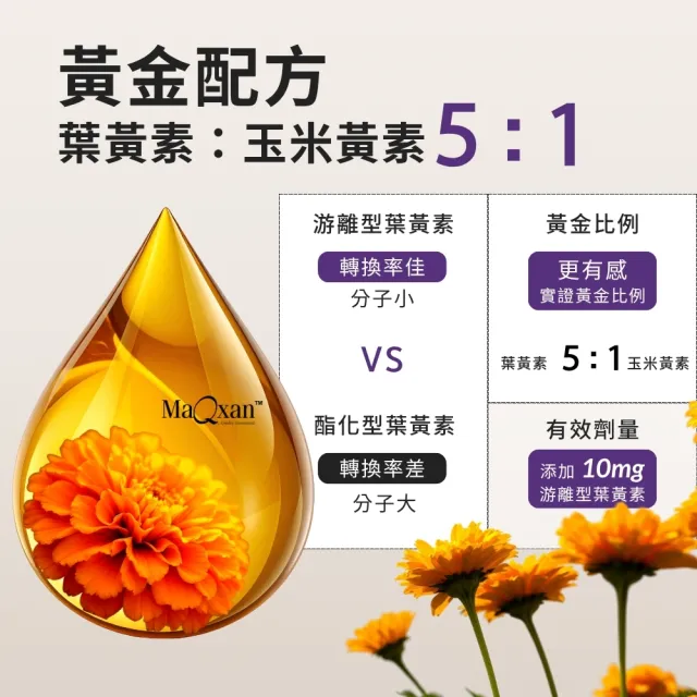 【SenOne 森一】強化型金盞花葉黃素植物膠囊 30顆/盒 (全素食膠囊)