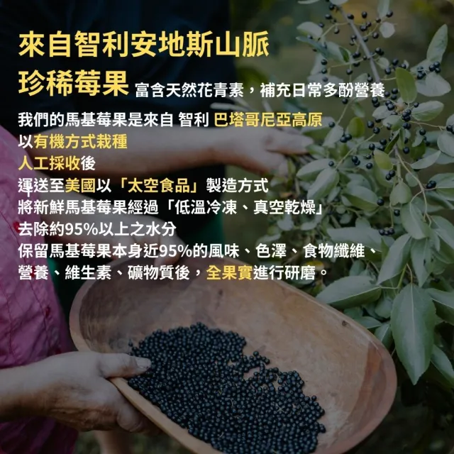 【ANR奧格蕾雅】純粋有機馬基莓粉(有機純智利酒果凍乾粉)