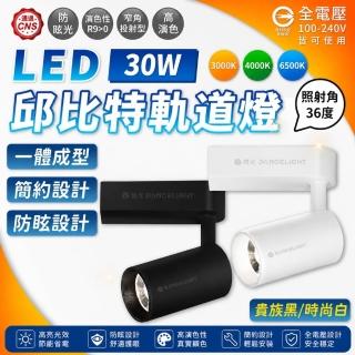 【DanceLight 舞光】2入 免運費 LED 30W 邱比特軌道燈 白光 自然光 黃光 白殼 黑殼 軌道燈 全電壓