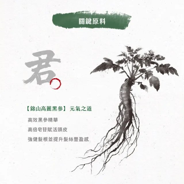【阿原】人參豐盈養髮液50mL*1+人參豐盈洗頭水250mL*1(強健髮根)(清潔同時保養)