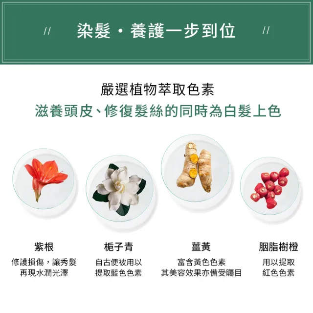 【Sastty】利尻昆布白髮用泡沫染髮露200mlx2入(3色任選/植萃成分/上色均勻不留白)