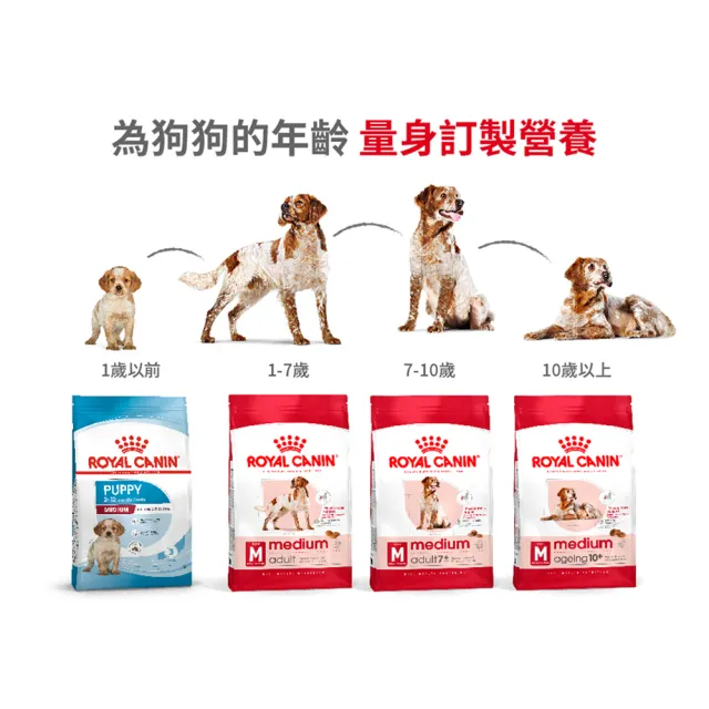 【ROYAL 法國皇家】中型成犬專用飼料 MA 4KG(狗乾糧 狗飼料 免疫力 腸胃)