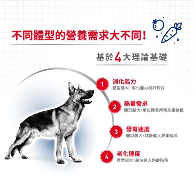 【ROYAL 法國皇家】大型成犬專用飼料 MXA 15KG(狗乾糧 狗飼料)