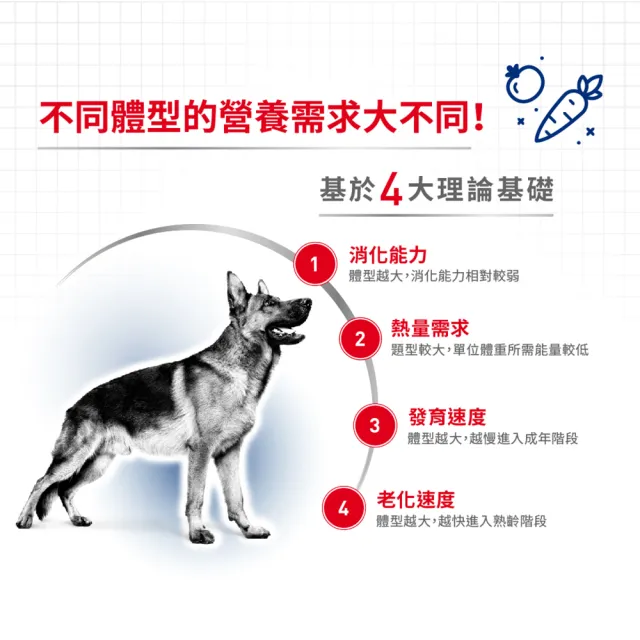 【ROYAL 法國皇家】大型熟齡犬5+歲齡專用飼料 MXA+5 15KG(狗乾糧 狗飼料)