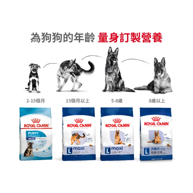 【ROYAL 法國皇家】大型老齡犬8+歲齡專用飼料 MXA+8 15KG(狗乾糧 狗飼料)