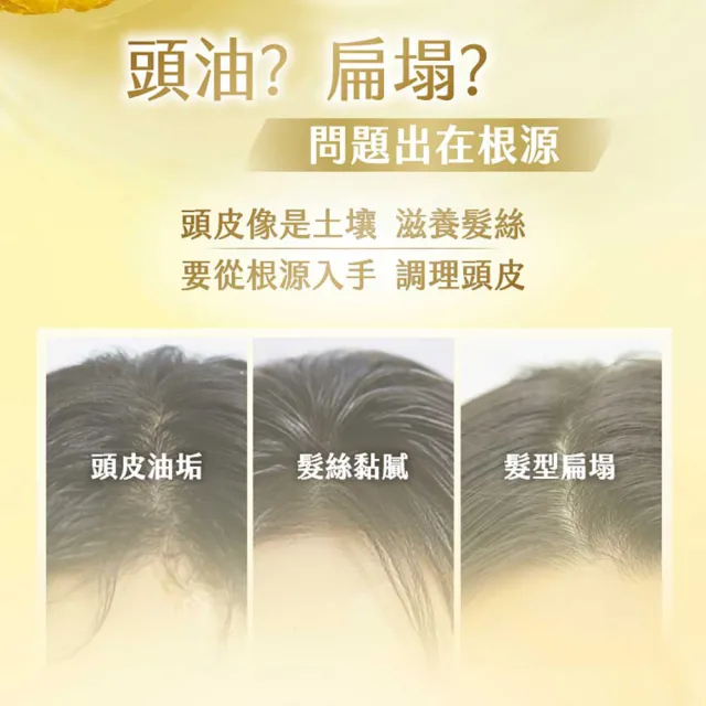 【Syoss 絲蘊】洗髮精/護髮潤髮乳420mlx3入組(無矽靈/天然植萃/控油/蓬鬆/清爽/強韌/滋養)