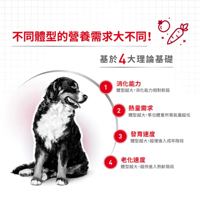 【ROYAL 法國皇家】中型熟齡犬7+專用飼料 M+7 4KG(狗乾糧 狗飼料)