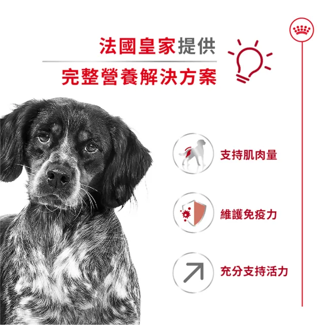 【ROYAL 法國皇家】中型熟齡犬7+專用飼料 M+7 4KG(狗乾糧 狗飼料)