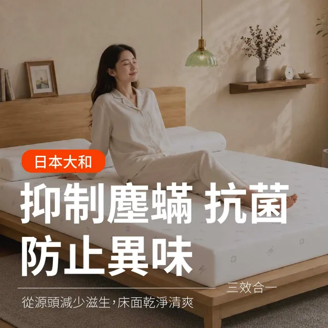 【森好眠】雙人5cm大和抗菌乳膠床墊5x6.2尺經典款(薄床墊可摺疊折疊Sonmil森好眠)