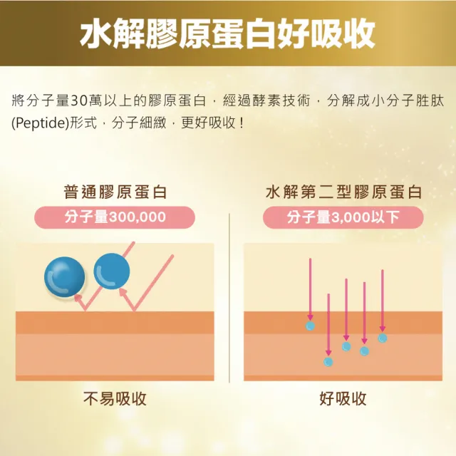 【白蘭氏】關鍵活躍雞精69ml*8入*9盒 共72入(添加水解第二型膠原蛋白 14日靈活有感)