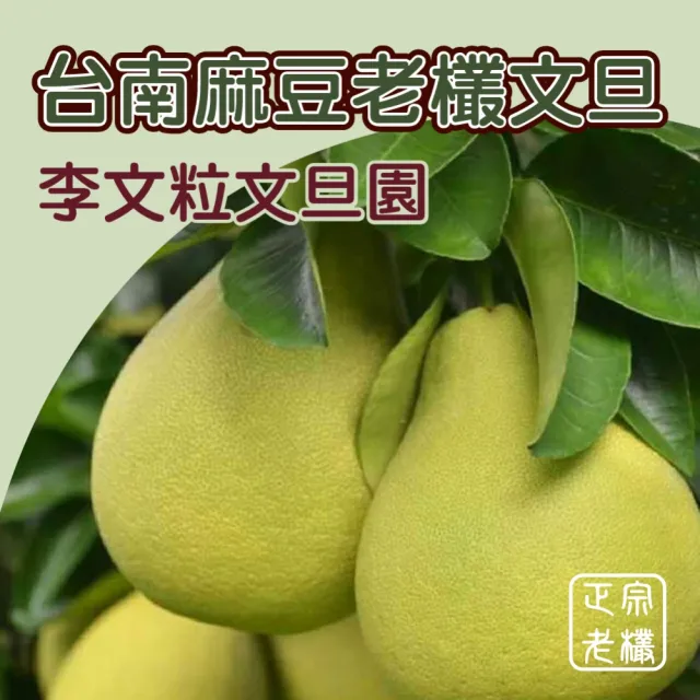 【黑貓嚴選】《李文粒果園》頂級麻豆文旦6kg(12-14入/箱 60年老欉 產地直送 中秋 柚子 禮盒)
