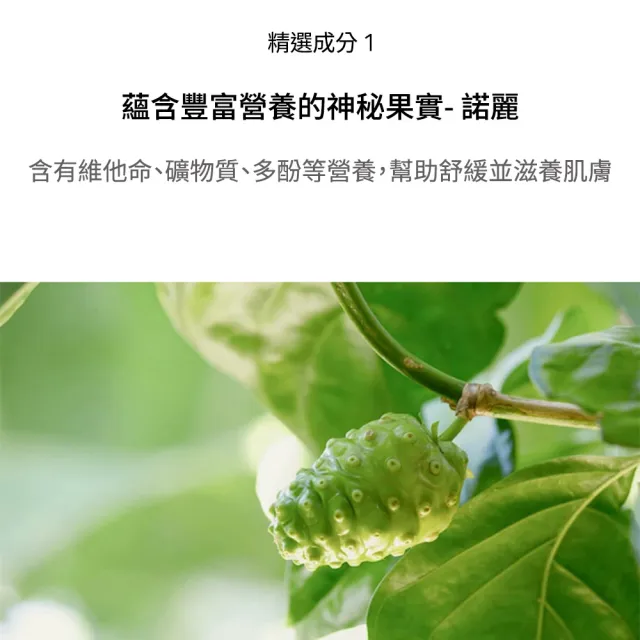 【Celimax】官方正貨 諾麗精粹均衡化妝水150ml (營養成分 彈力緊實 獨家成分)