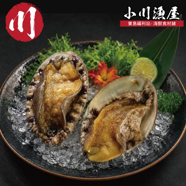 【小川漁屋】南非活凍帶殼鮑魚4包(500g±10%/包/約6-8粒)