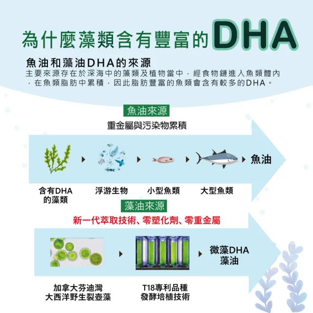 【愛善那】美國專利80% DHA藻油素食軟膠囊60粒/瓶(市售最高濃度DHA高達80% rTG型式好吸收)