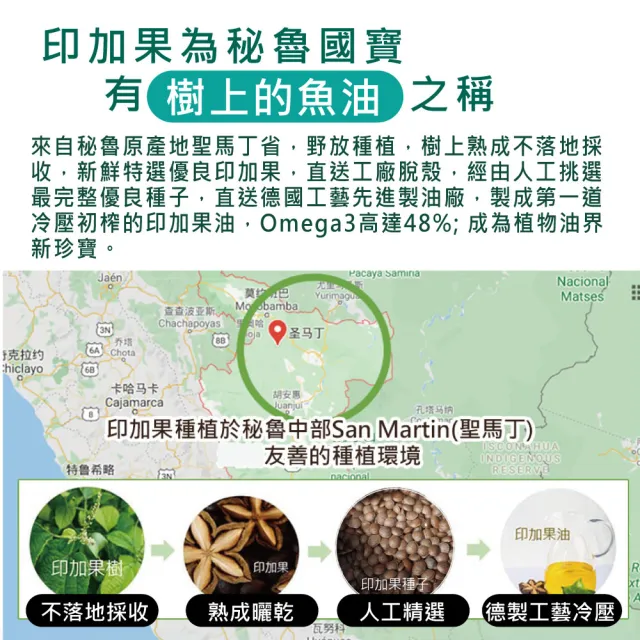 【愛善那】美國專利80% DHA藻油素食軟膠囊60粒/瓶(市售最高濃度DHA高達80% rTG型式好吸收)