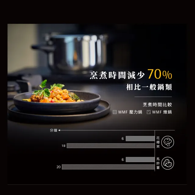 【WMF】法國製 Perfect Premium V2 壓力鍋 22cm 4.5L IH爐/電磁爐適用 7道安全機制