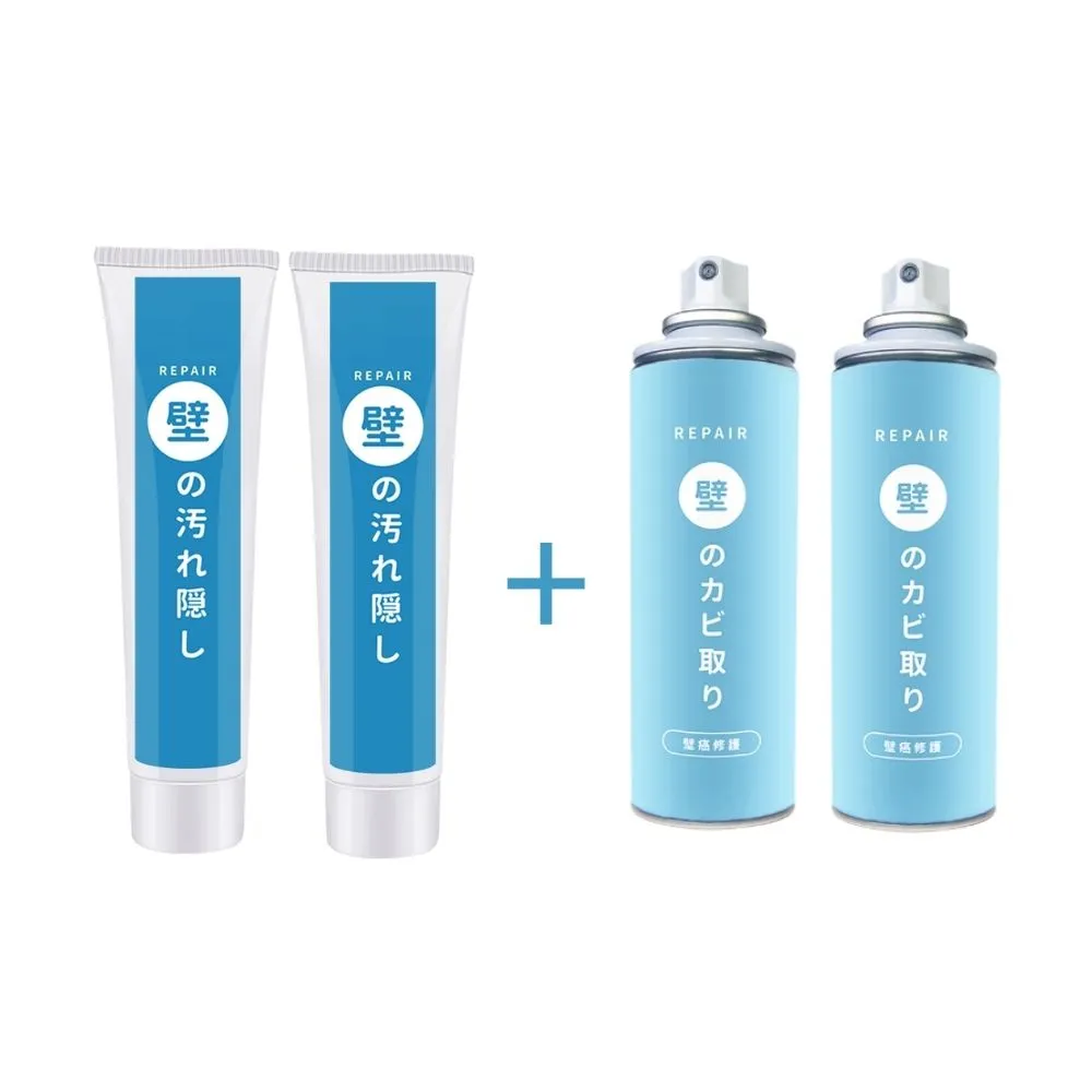 【寶媽咪】裝修套組-防水壁癌修復超值2+2組(不泛黃/牆面修補膏/補土膏/裂縫/修補)