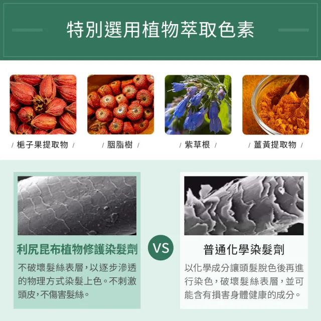 【Sastty】利尻昆布白髮用修復染髮劑200gx2入(3色任選/植萃遮白/染護2合1)