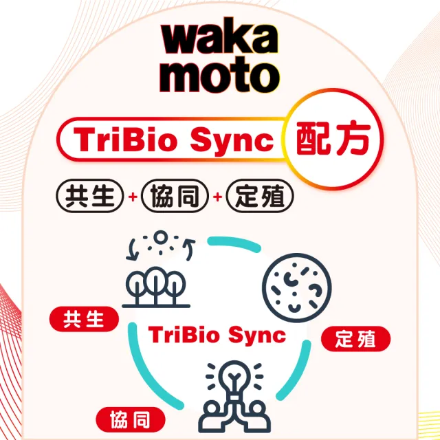 【Wakamoto 若元】若元益生菌 五瓶組(220錠/瓶_食品、獨家高活性WB菌、使排便順暢、日本原裝)