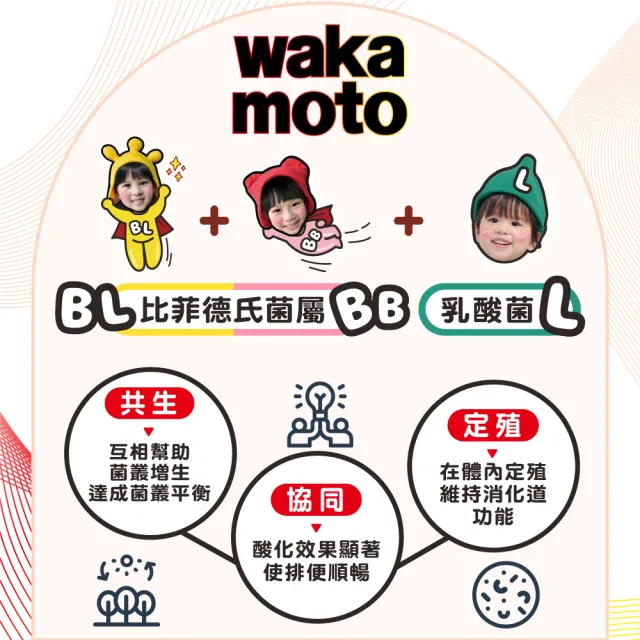【Wakamoto】若元益生菌 兩瓶組(220錠/瓶_食品、獨家高活性WB菌、TriBio Sync配方、使排便順暢、日本原裝)