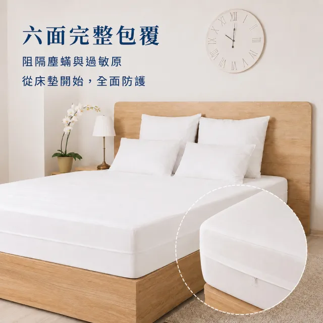【Fotex 芙特斯】新一代超舒眠防蟎雙人床墊套(5尺/高25cm/物理性防螨寢具)