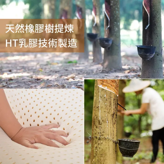 【LooCa】單大3.5尺 厚5cm HT純淨乳膠床墊-法國防蹣認證表布｜宿舍床墊推薦