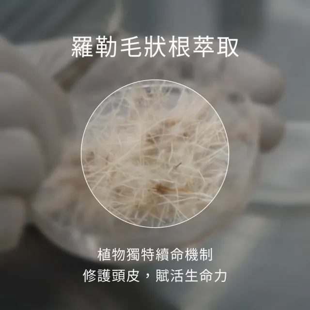 【greenvines 綠藤生機】追根究柢養髮精華100ml(100% 天然來源的實證配方)