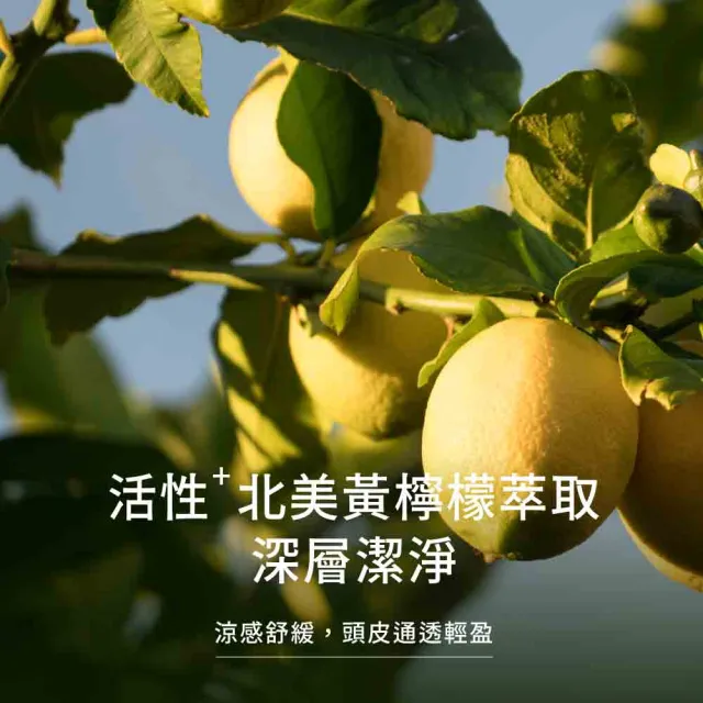 【greenvines 綠藤生機】經典方瓶升級版★蜂膠Plus頭皮淨化洗髮精350ml