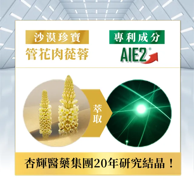 【杏輝醫藥】蓉憶記膠囊 國家健康食品 8入組(共240粒-唐從聖 AIE2 延緩衰老 思緒保養 銀髮保健 保健禮盒)