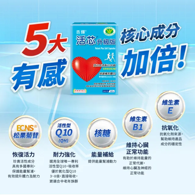【SINPHAR 杏輝】活芯升級版軟膠囊 國家健康食品4入(共240粒-Q10 專利成分ECNS 抗疲勞 銀髮保健 中秋禮盒)