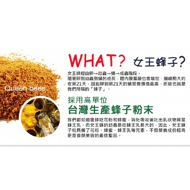【草本之家】豐采蜂子粉膠囊1入組60粒/入(蜂蛹粉)