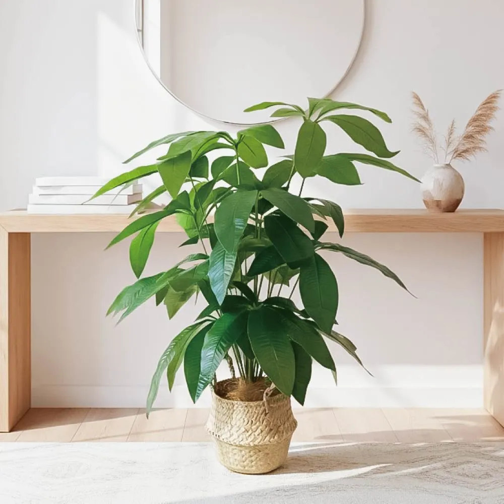 【Floral M】財源滾滾發財樹70cm仿真植栽(贈編織籃)(人造植栽/仿真樹/室內佈置/居家裝飾/桌上型植栽)