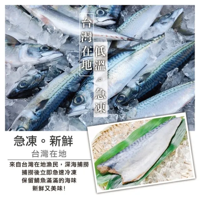 【三頓飯】嚴選宜蘭薄鹽鯖魚(12片_100-130g/片)