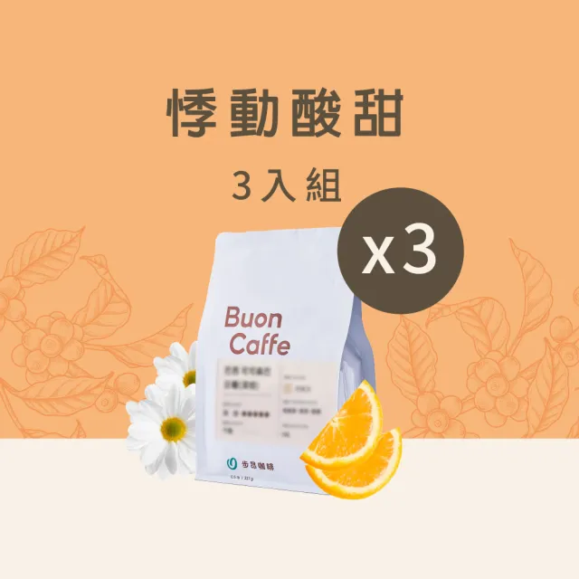 【Buon Caffe 步昂咖啡】接單現烘 淺焙咖啡豆 咖啡粉｜悸動酸甜3入組｜227g x 3包 雙十 送禮 伴手禮