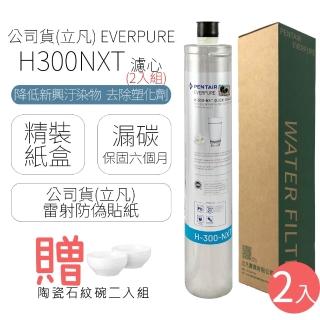 【濱特爾】EVERPURE 濾心 H300NXT(2入組)