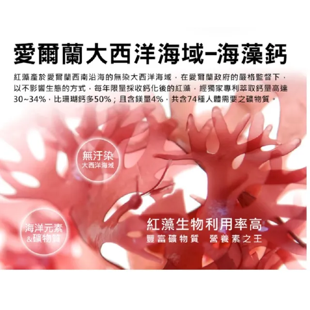 【草本之家】天然海藻鈣3入組(100粒/入)(紅藻粉.海藻)