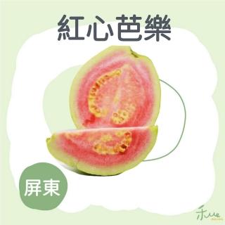 【禾ME】屏東紅心芭樂王5斤(6-12顆)中秋禮盒