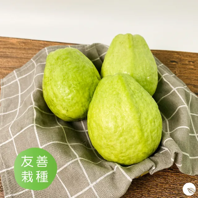【禾ME】屏東紅心芭樂王5斤(6-12顆)雙十一組合