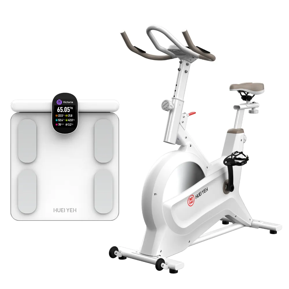 【輝葉】創飛輪健身車+八電極智能體脂計(HY-20151+HYG-P100)(父親節禮物)